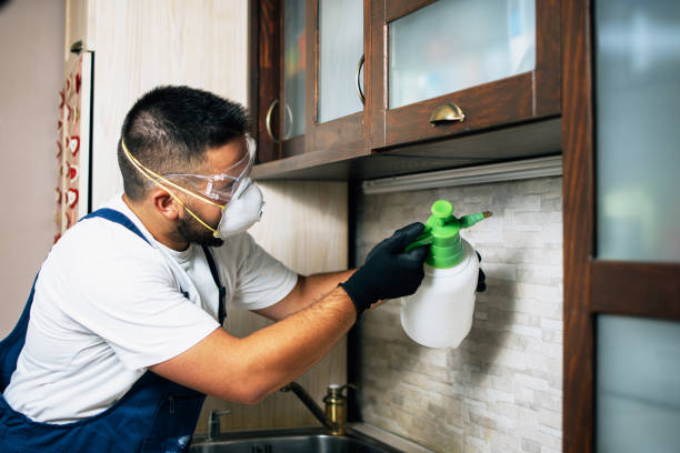 Best Pest Removal Services  in Alameda, CA