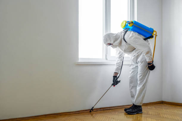 Pest Prevention Services in Alameda, CA