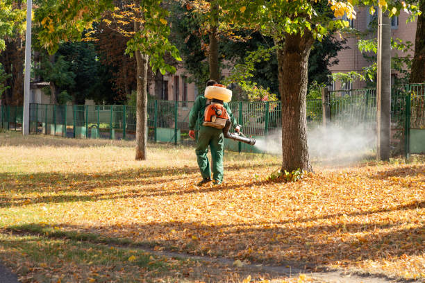 Best Rodent Control Near Me  in Alameda, CA